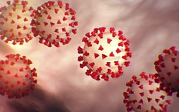 Độ ẩm có thể ảnh hưởng đến sự phân tán của các phần tử virus trong không khí