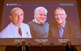 Nobel y sinh 2020: Virus viêm gan C được tìm thấy thế nào?