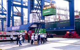 Việt Nam có đội tàu biển 15,5 tuổi, trẻ hơn thế giới gần 6 tuổi