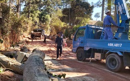 Đen Vâu, xá xị và... Đà Lạt