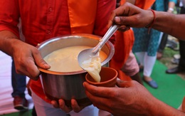 Bắt người bán nước tiểu và phân bò kèm lời rao chống COVID-19