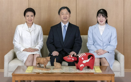 Nhật hoàng cảm ơn nhân viên y tế tuyến đầu dịp năm mới