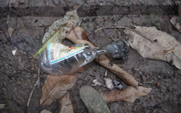 Nghi án người đàn ông 63 tuổi bị sát hại rồi đốt cháy ở Tiền Giang