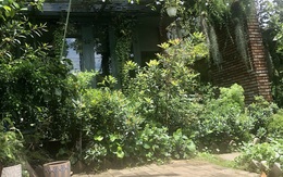 Cuộc thi 'Nhà tôi - Mái ấm': Sân nhà của miền xanh và nắng ngời