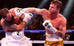 Hạ knock-out Caleb Plant, Canelo Alvarez thành nhà vô địch tuyệt đối