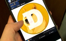 Đừng tiếp tay làm hại công chúng