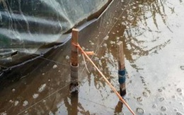 Nam thanh niên chết vì vấp phải dây điện bẫy chuột trên đồng