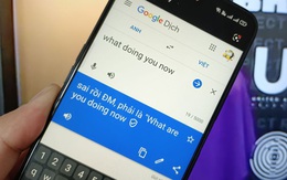 Gõ 'What doing you now', Google dịch hiện ra 'sai rồi ĐM, phải là What are you doing now', vì sao?