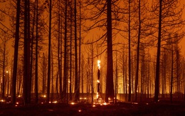 Công bố báo cáo về biến đổi khí hậu - cơ hội mong manh cứu Trái đất