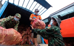 TP.HCM đã đón nhận hơn 5.500 tấn nông sản sạch Lâm Đồng gửi tặng