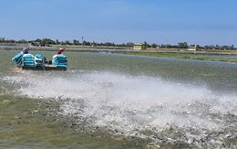 Nông sản kỳ vọng 'siêu hiệp định' RCEP
