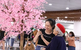 Đà Nẵng đón giao thừa trong tiết trời se lạnh