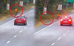 Nam thanh niên hoảng hồn vì bị báo hoa mai đốn ngã