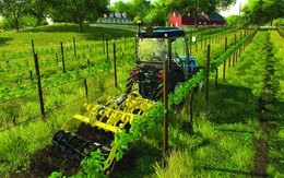 Cơn sốt game nông trại: Sống xa ruộng đồng, nhưng vẫn thích làm nông