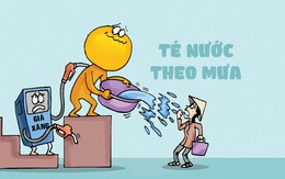 Giá cả cứ mãi 'té nước theo mưa'