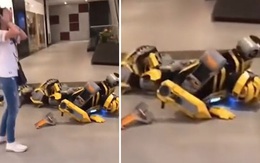 Robot rụng rời khi người đẹp bắn tim