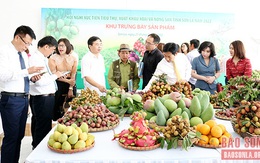 Chủ động đầu ra cho sản phẩm nhãn