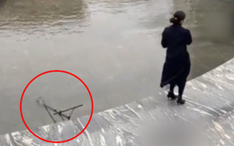 Cô nàng mải mê sống ảo không hay biết điện thoại rớt xuống hồ nước