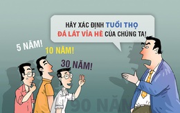 Sếp đề nghị nâng tuổi thọ vỉa hè lên 90 năm!