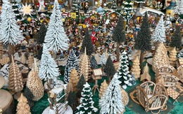 Tại sao thành phố Dresden lại là thủ phủ Giáng sinh của châu Âu?