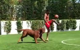 Messi tâng bóng vờn chó cưng mệt bở hơi tai