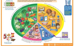 Những nhóm sản phẩm sẽ 'lên ngôi' trong năm 2023