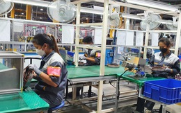 Sụt giảm hai khoản thuế quan trọng, Hải Phòng ‘thất thu’ hơn 5.000 tỉ đồng