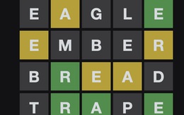 Cụ bà 80 tuổi được giải thoát khỏi kẻ đột nhập nhờ… ngừng chơi game