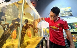 'Khách sạn' cho cá cưng