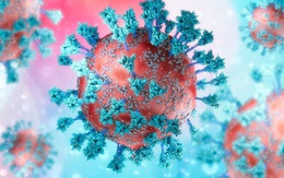 Nhà sinh học gốc Việt kể chuyện ‘săn’ biến thể lai Deltacron