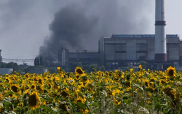 Chiến sự Ukraine khiến châu Âu căng thẳng chuyện dầu ăn