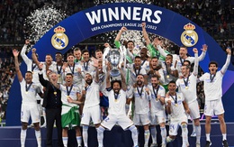 Nhà vua trở lại ngai vàng