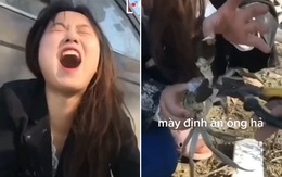 Cô gái kêu trời khi bị cua kẹp