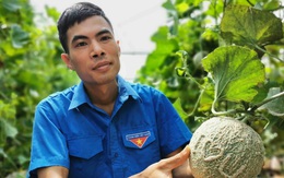 Liều trồng dưa trên vùng đất khó