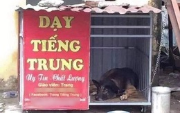 Ảnh vui 1/8: Cô Trang dạy tiếng Trung uy tín và chất lượng