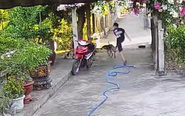 Chàng trai bị nghiệp quật vì đá chó