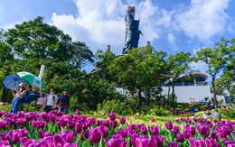 Đến Tây Ninh, du khách bất ngờ với những cảnh quan mới