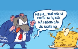 Chuột tham nhũng 'ăn' bất chấp