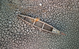 'Vườn địa đàng' của Iraq thành sa mạc vì hạn hán khủng khiếp