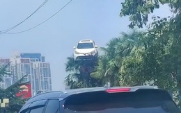 Ôtô 'đậu' trên ngọn cây?