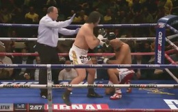 Trận đấu vừa bắt đầu, võ sĩ quỳ gối xin hàng