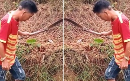 Người đàn ông đứng đơ như tượng vì sợ ong chích