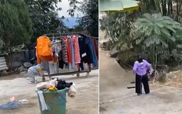 Mẹ bất lực nhìn sào đồ mới giặt bị con trai đẩy xuống mương