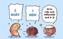 Khi "KOL hạt" tham gia show thực tế