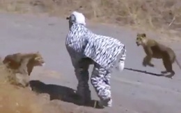 Hai thanh niên hoảng hồn vì giả ngựa thám hiểm châu Phi gặp sư tử