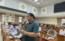 Bạn đọc góp ý: ông Nguyễn Viết Dũng nên rút lui trước khi bị bãi nhiệm ở HĐND