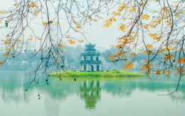 Việt Nam đất lành chim đậu