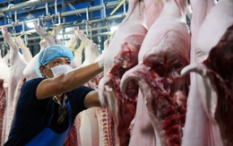 22.000 cơ sở giết mổ nhỏ lẻ, chưa đáp ứng quy chuẩn