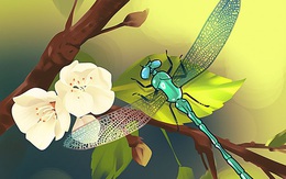 Bức tranh thiên nhiên kỳ thú có gì bất thường?