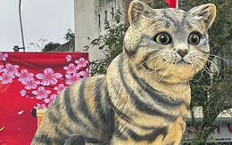 Cựu sinh viên Đại học Duy Tân là cha đẻ của 'hoa hậu mèo' 2023